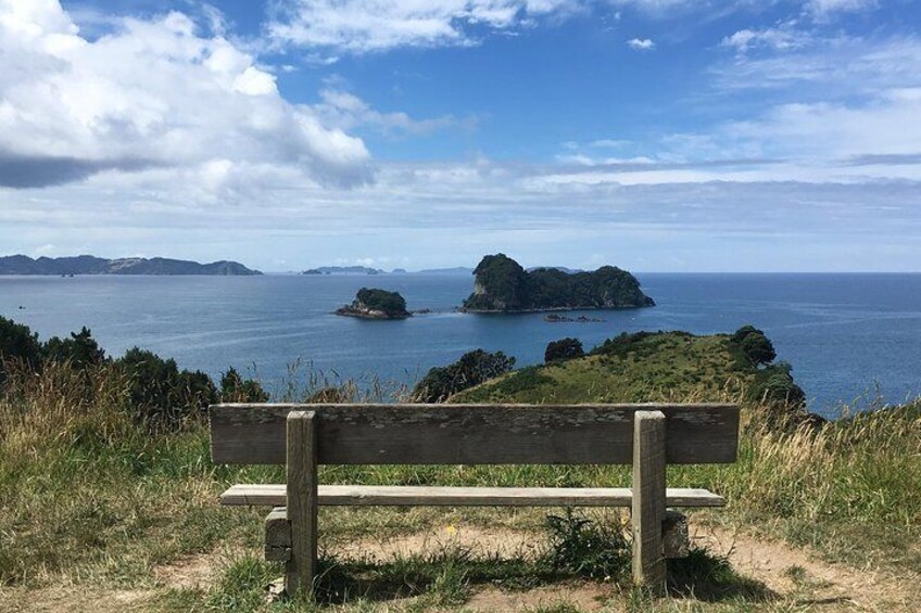 Cathedral Cove Track