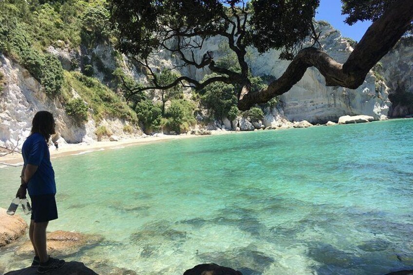 Cathedral Cove