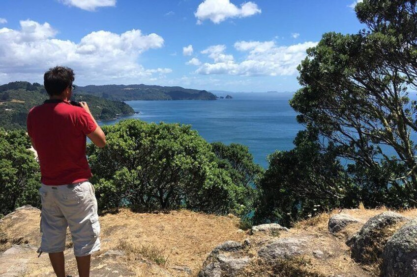 View from Mt Paku