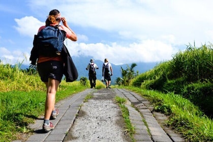 Hike Through Bali Stunning UNESCO Jatiluwih Rice Terraces