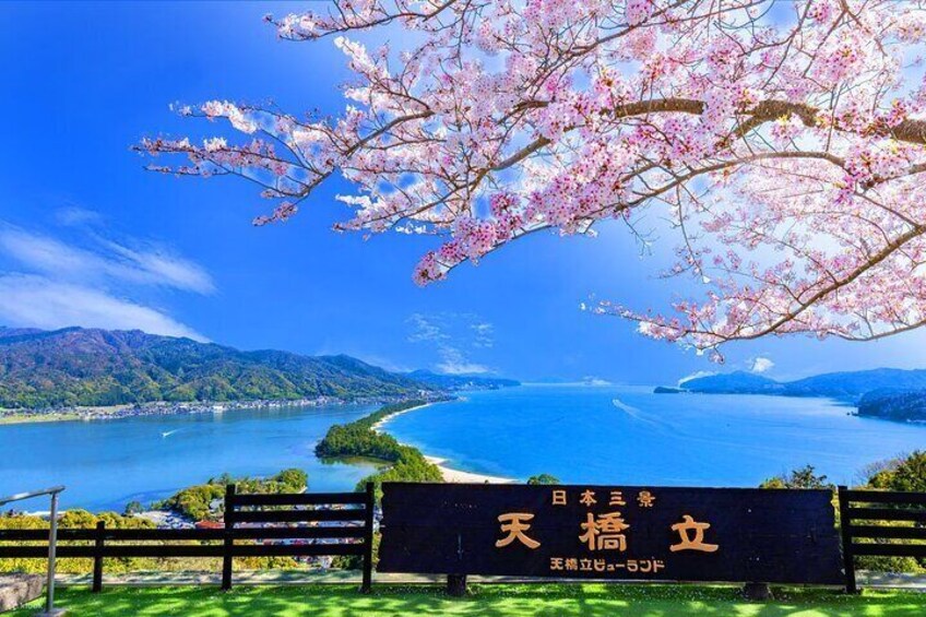 Amanohashidate & Ine Funaya Sightseeing Full Day Trip from Kyoto
