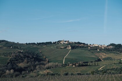 Vanaf Florence: Chianti Aanpasbare Transfer
