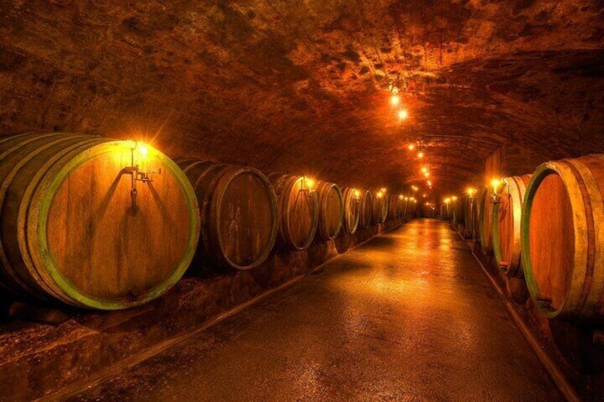 wine cellar, wine, wine barrel, wine tasting, winery