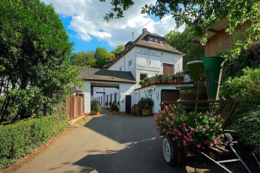 Wine Tour and Cruise Trier Private Tour
