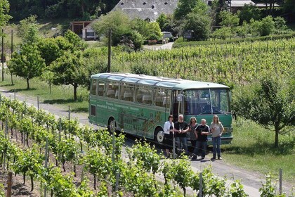 Wine Tour and Cruise Trier Private Tour