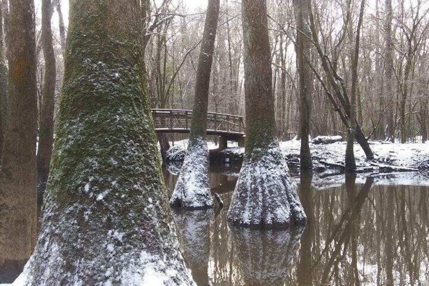 A snow dusted beginning to our kayak trip.