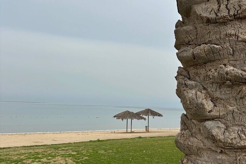Walk and Discover Jubail's Beauty