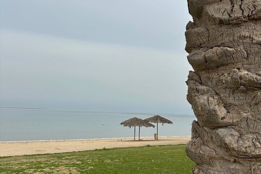 Walk and Discover Jubail's Beauty