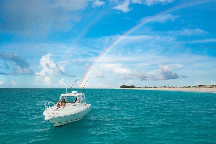 Private Full Day Fish, Snorkel and Cruise on Serendipity