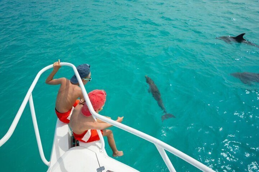 Private Full Day Fish, Snorkel and Cruise on Serendipity