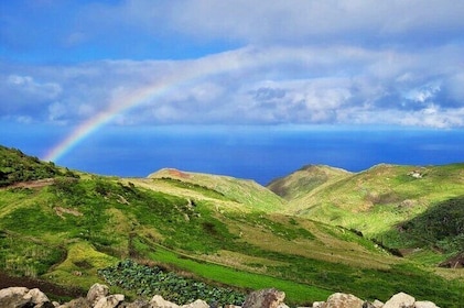 Tenerife Teno Mountains Guided Hike and Garachico Town