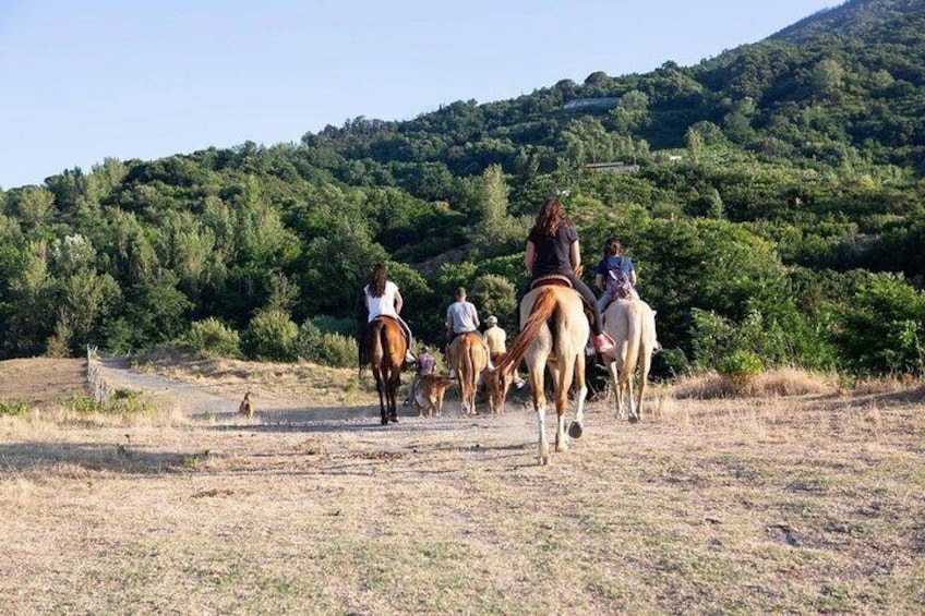 Private Tour With Horse Pompeii Excavations Wine Tasting 