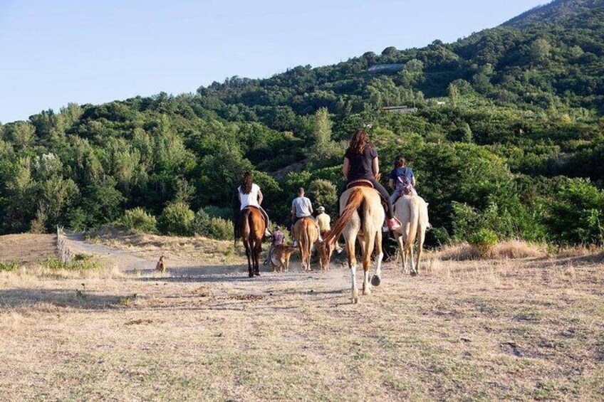 Private Tour With Horse Pompeii Excavations Wine Tasting