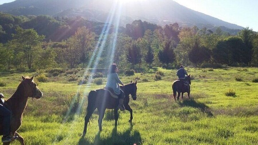 Pompeii Tour & Horseback Riding & Lunch with Wine Tasting
