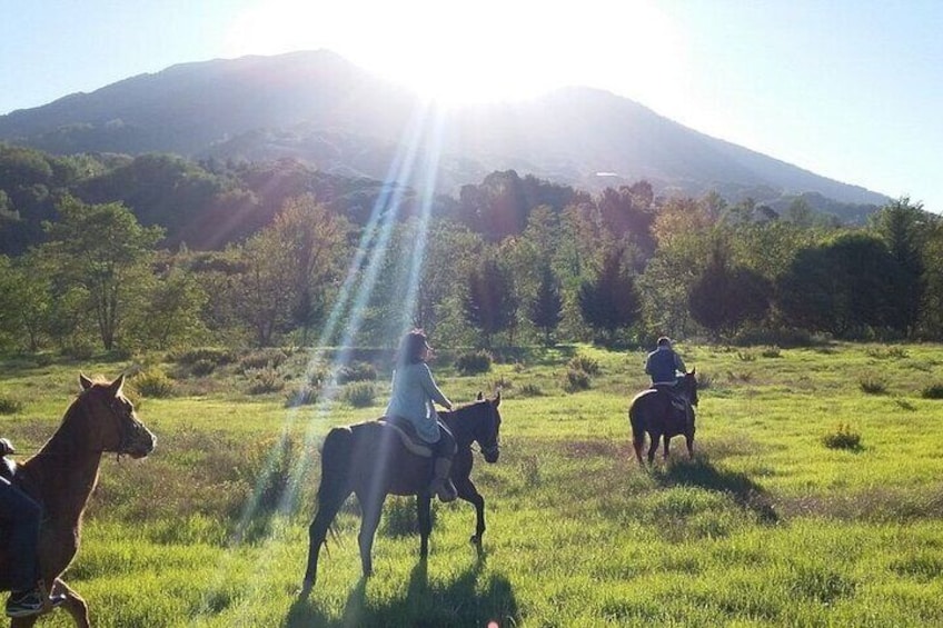 Pompeii Tour & Horseback Riding & Lunch with Wine Tasting