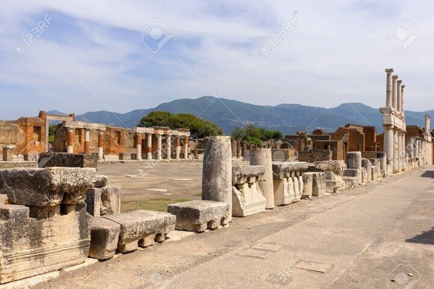 Private Tour With Horse Pompeii Excavations Wine Tasting