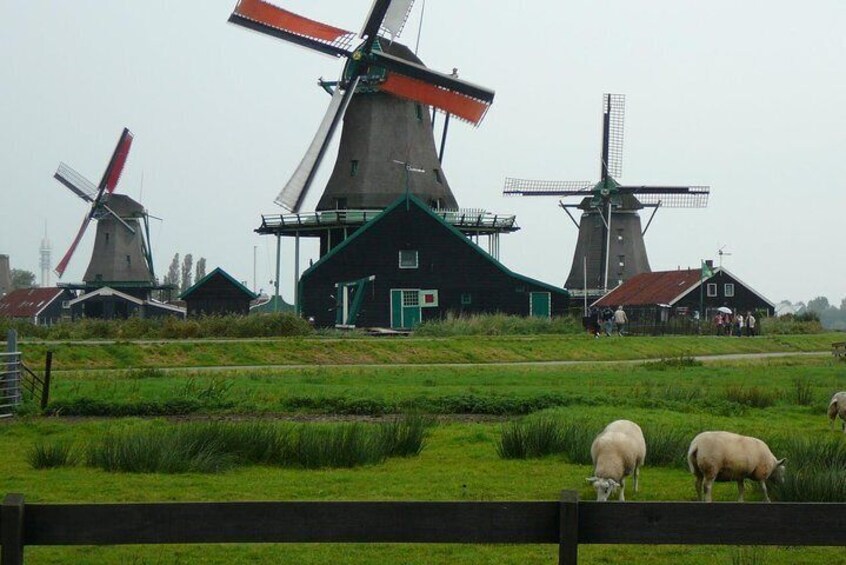 Sightseeing Tour to Rijksmuseum and the Zaanse Schans Windmills from Amsterdam