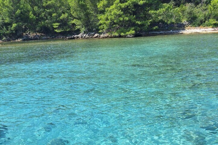 Private Cove Exploration Tour on Zadar Archipelago