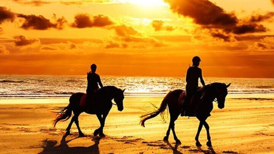 Agadir and Taghazout: 2 Hours Horseback Ride on the Beach