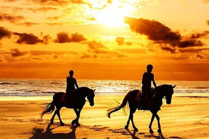 Agadir and Taghazout: 2 Hours Horseback Ride on the Beach