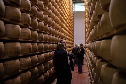 Tour de día completo a la fábrica de alimentos de Bolonia y cata de vinos