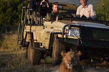 The Best of Zululand's Big 5 reserves - For the Discerning guest