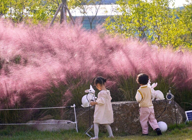 Picture 6 for Activity Seoul: Nami Island, Railbike and Begonia Bird Park Day Tour