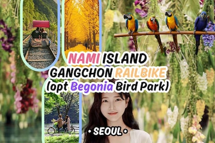 Seoul: Nami Island & Railbike Day Tour (+ Begonia Bird Park)