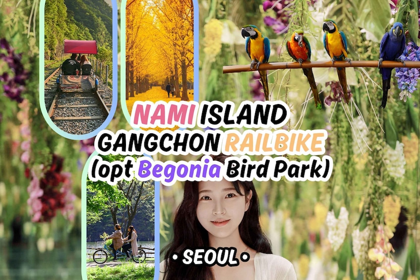 Seoul: Nami Island & Railbike Day Tour (+ Begonia Bird Park)