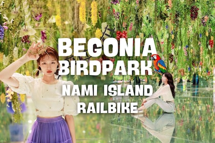 Seoul: Nami Island & Railbike & Begonia Bird Park Day Tour