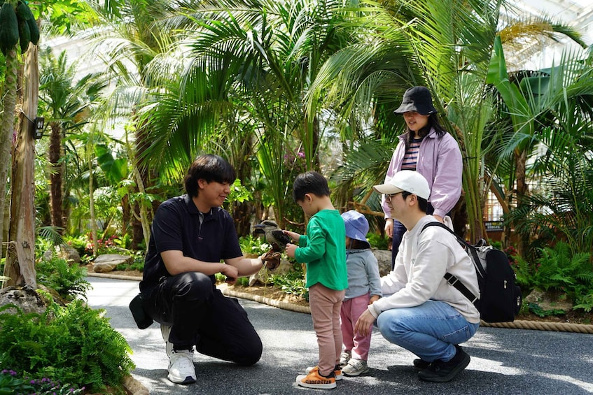 Picture 3 for Activity Seoul: Nami Island, Railbike and Begonia Bird Park Day Tour