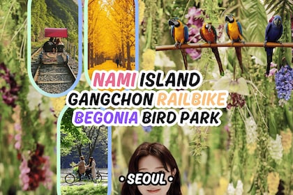 Seoul: Nami Island & Railbike & Begonia Bird Park Day Tour