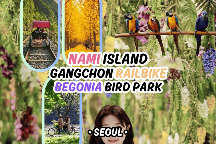 Seoul: Nami Island & Railbike & Begonia Bird Park Day Tour