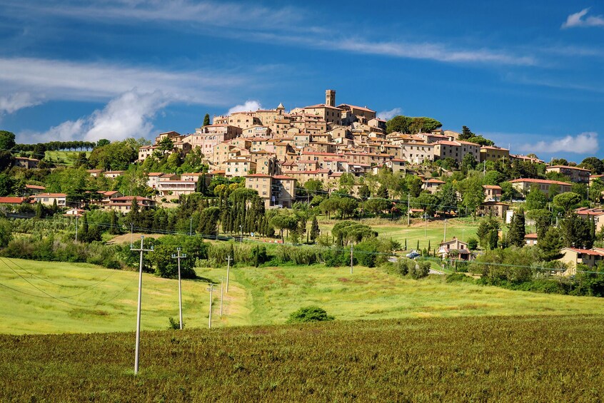 Bolgheri from Florence, Customizable Private Tour