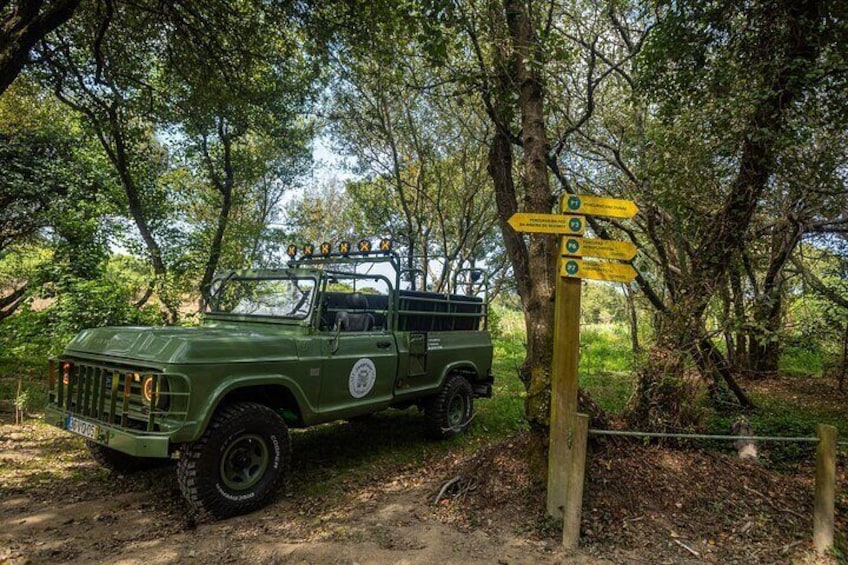 Mindelo Ornithological Reserve
