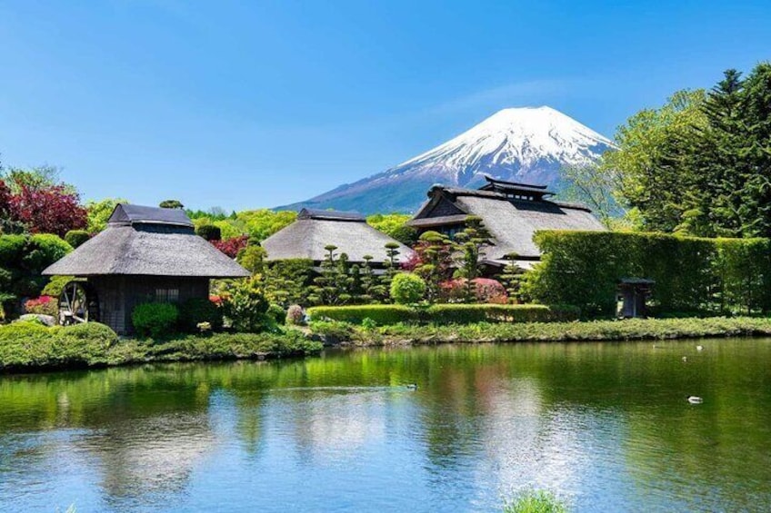 Mt Fuji Day Tour with English Pro Guide and Driver