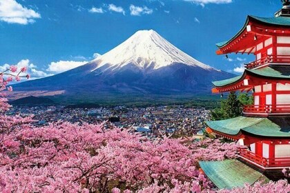Mount Fuji and Hakone Private Tour with English Speaking Guide