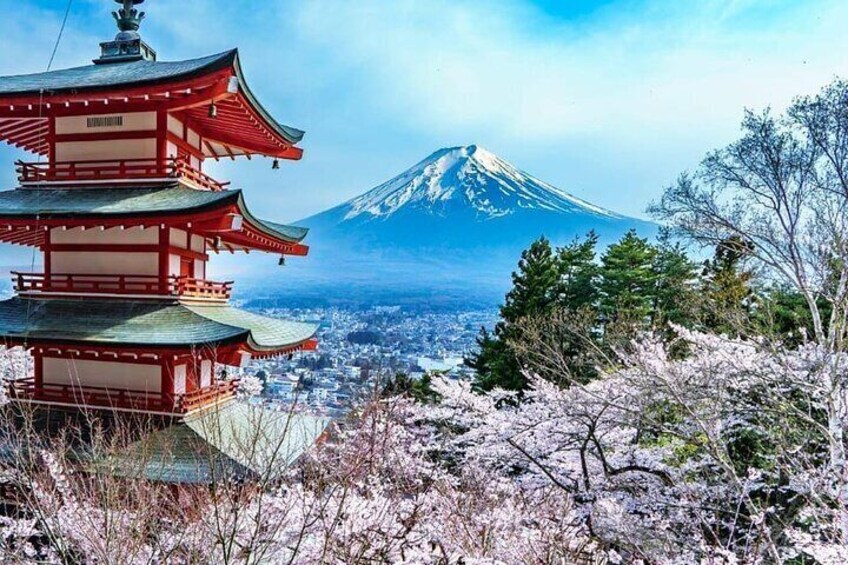 Mount Fuji & Hakone Day Tour with English Pro Guide and Driver