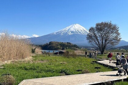 Mount Fuji & Hakone Day Tour with English Pro Guide and Driver