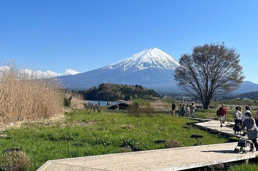 Mt Fuji Day Tour with English Pro Guide and Driver