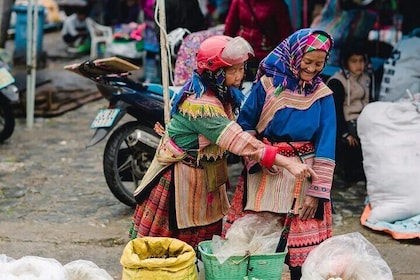 3-Day Scenic Adventure to Sapa & Bac Ha from Hanoi by Private Car