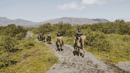 Borgarnes: Horseback Riding Tour with Prep Lesson