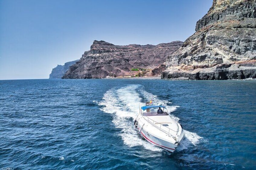 Boat Tour 3h excursion in Puerto de Mogan Gran Canaria