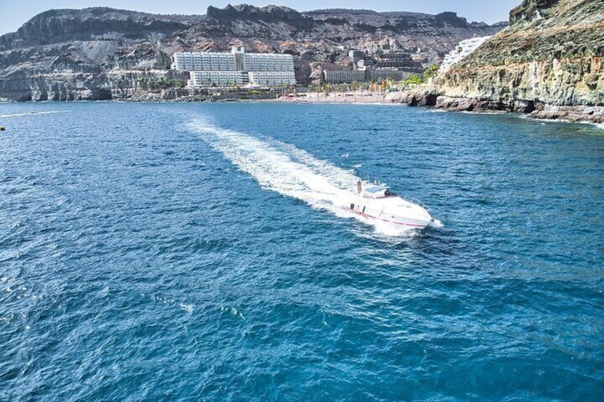 Boat Tour 3h excursion in Puerto de Mogan Gran Canaria