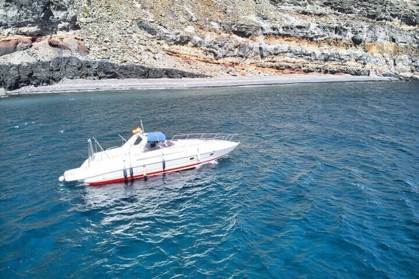 Boat Tour 3h excursion in Puerto de Mogan Gran Canaria