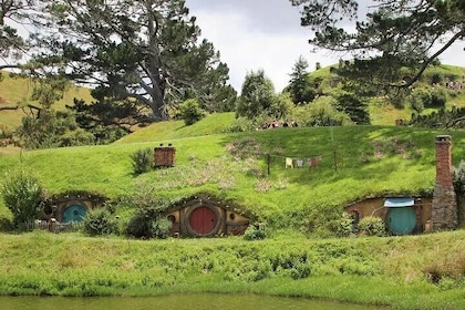 Hobbiton Film Set and Waitomo Caves Exclusive (1-6 traveller)