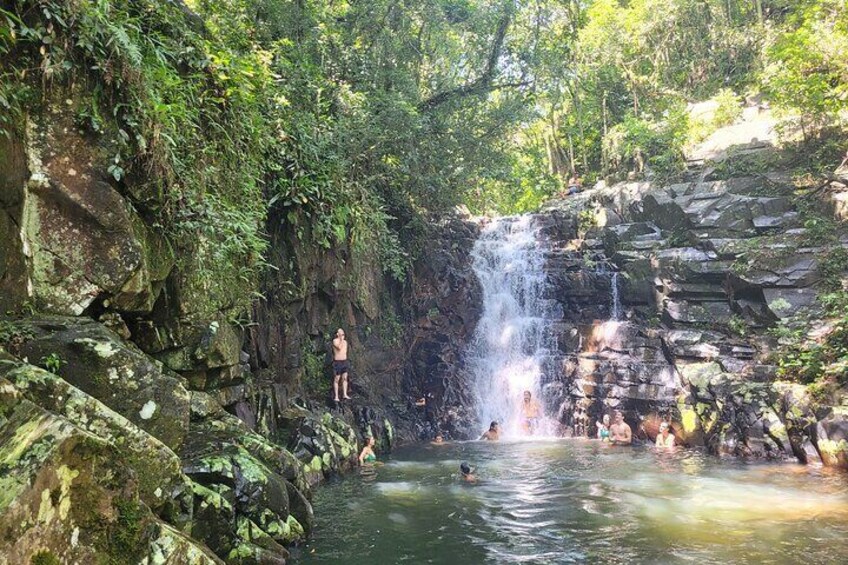 Linear Park Walking Tour to Potion Waterfall