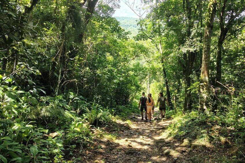 Linear Park Walking Tour to Potion Waterfall