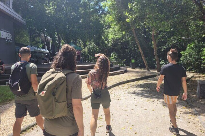 Linear Park Walking Tour to Potion Waterfall