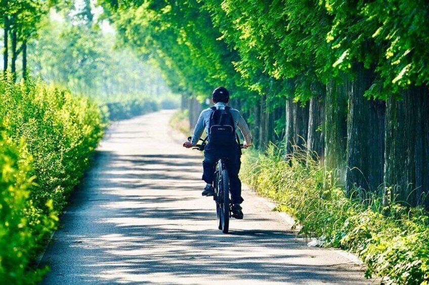 Cycle lane / Bike track along the river